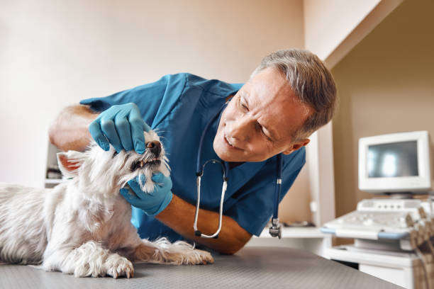Best Emergency Tooth Extraction in North Madison, OH