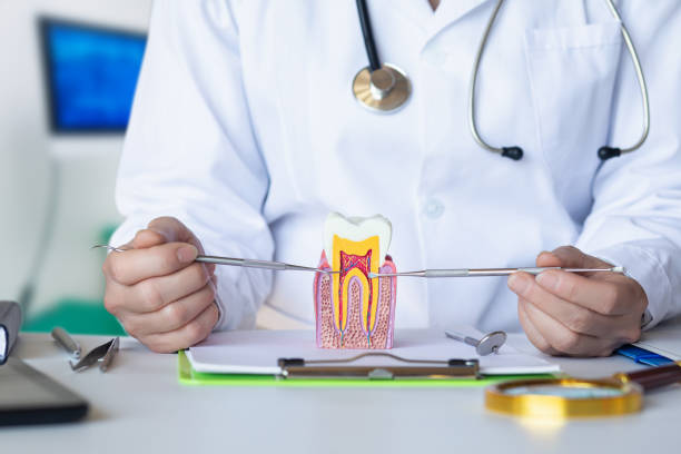 Best Weekend Emergency Dentist in North Madison, OH